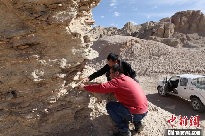 圖為地質(zhì)專家觀察鹽類沉積地層。(資料圖) 柴綜院 供圖