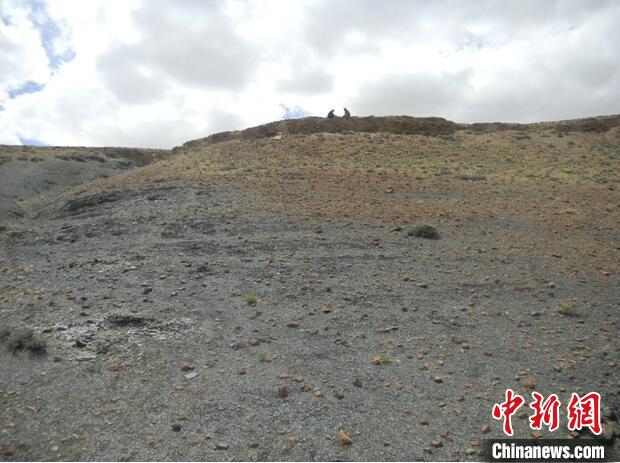 圖為本次研究的藏南曲布剖面二疊紀(jì)末期黑色頁(yè)巖。　南古所 供圖