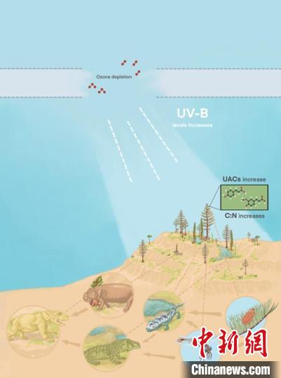 臭氧層破壞引起的紫外線輻射增加對(duì)陸地食物鏈的影響?！∧瞎潘?供圖