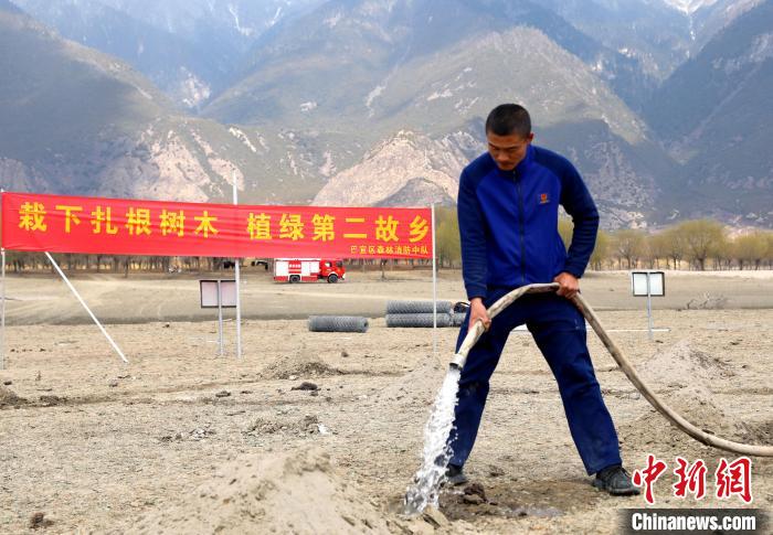 林芝市巴宜區(qū)森林消防中隊志愿服務隊澆水灌溉?！∥骼@拉翁 攝