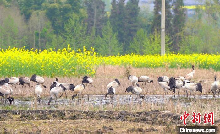 休息補給。　天全縣融媒體中心 供圖