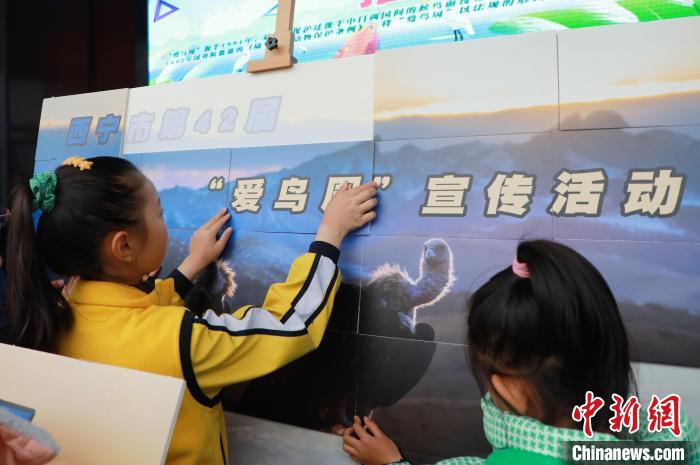 圖為學(xué)生通過拼圖游戲了解鳥類知識。　馬銘言 攝