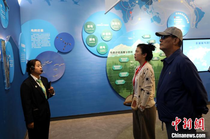 圖為臺商在祁連山國家公園生態(tài)科普館內聆聽講解?！⊙Φ?攝