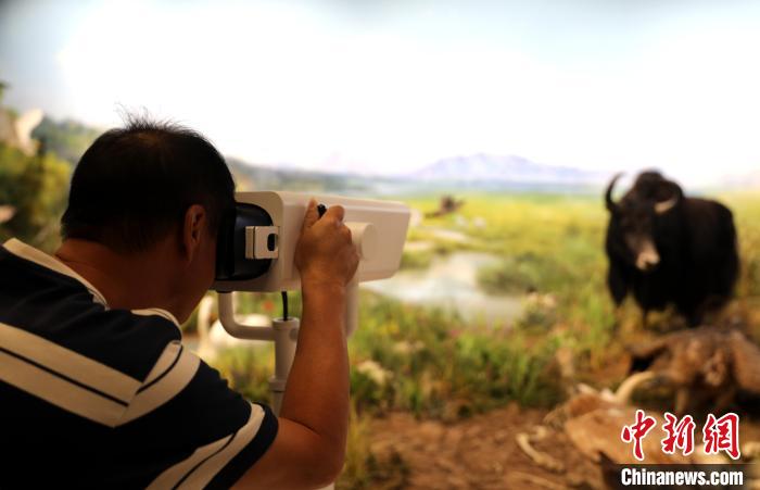 圖為臺商觀看祁連山國家公園生態(tài)科普館內生態(tài)場景。　薛蒂 攝