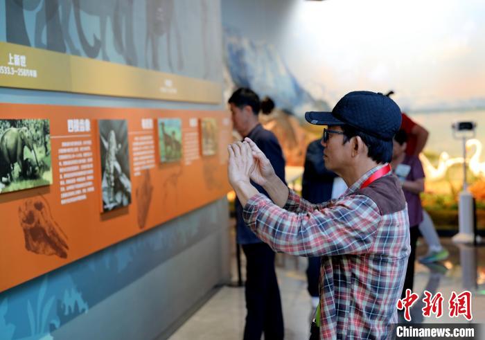 圖為臺商在祁連山國家公園生態(tài)科普館觀看墻面藝術圖文。　薛蒂 攝