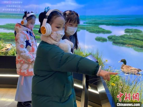 圖為學(xué)生在西寧市第一中學(xué)濕地科普宣教館內(nèi)參觀?！±罱瓕?攝