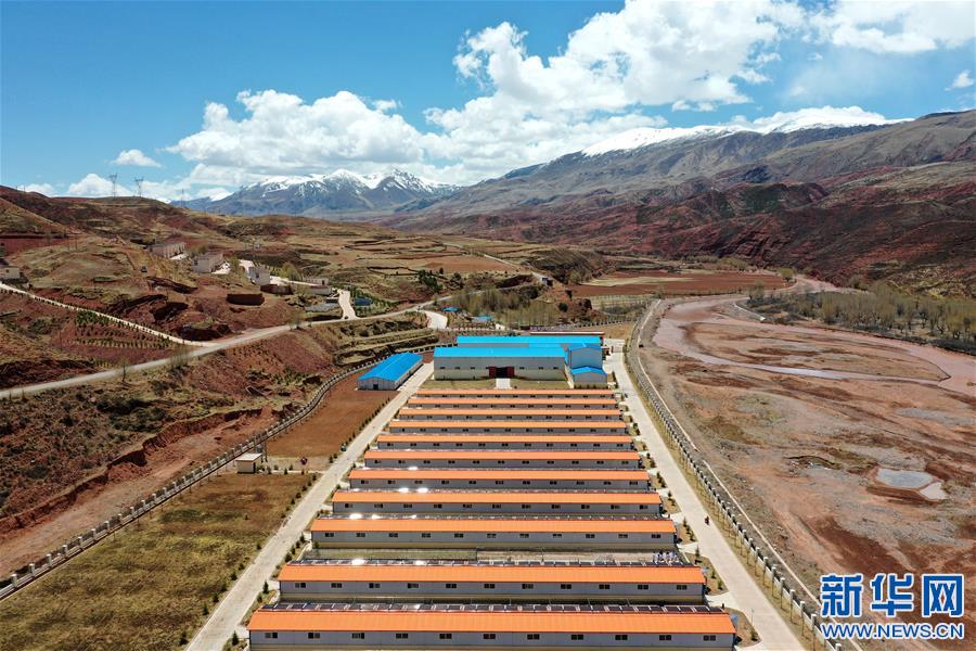 (決戰(zhàn)決勝脫貧攻堅·圖文互動)(4)“阿旺綿羊”成就大產(chǎn)業(yè)——西藏貢覺縣做大做強扶貧產(chǎn)業(yè)見聞