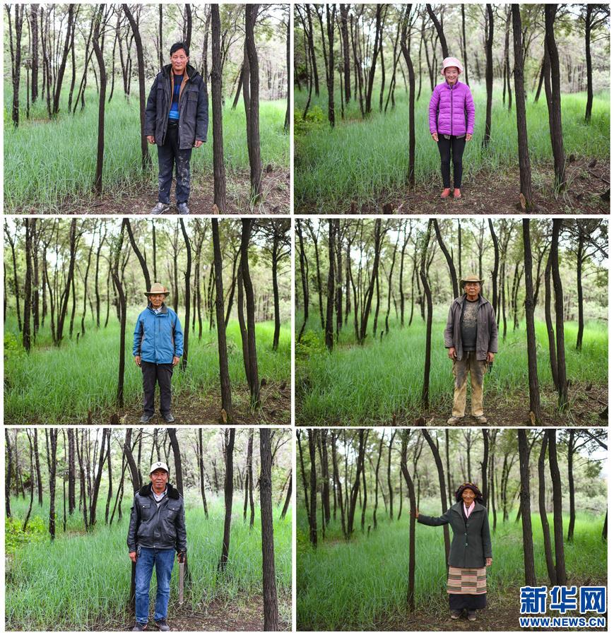 （新華全媒頭條·圖文互動）（7）莊重的承諾　歷史的奇跡——西藏自治區(qū)決戰(zhàn)脫貧攻堅紀(jì)實(shí)