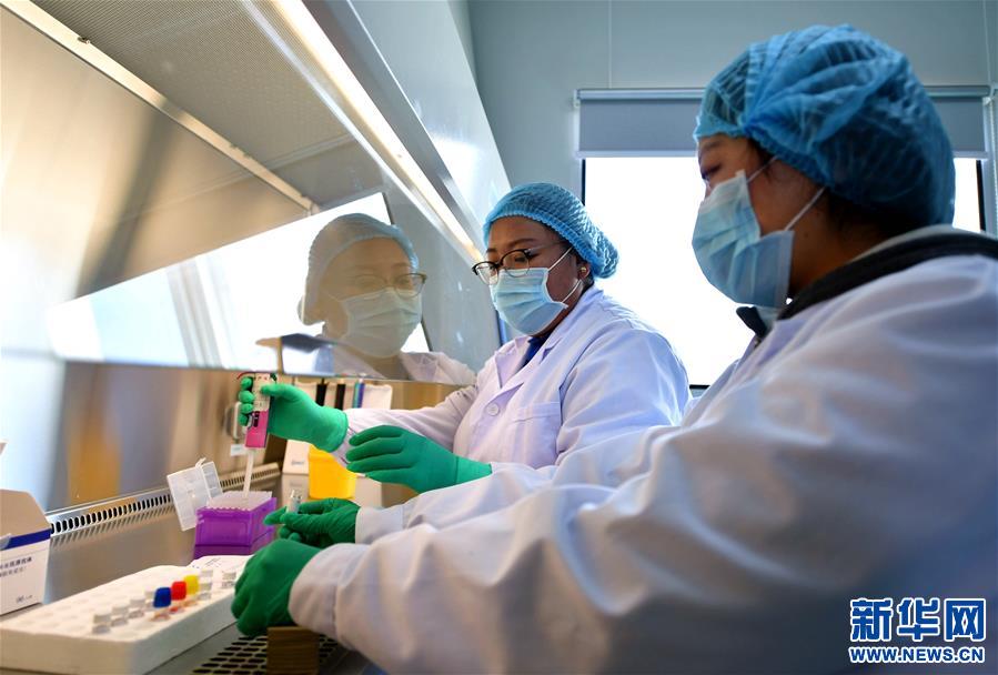 （新華全媒頭條·圖文互動）（8）莊重的承諾　歷史的奇跡——西藏自治區(qū)決戰(zhàn)脫貧攻堅紀(jì)實(shí)