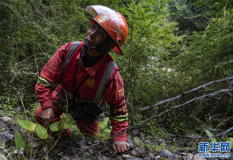 (圖文互動(dòng))(6)從坐吃山空到護(hù)林守山——西藏林芝為雪域高原獻(xiàn)上“綠色哈達(dá)”
