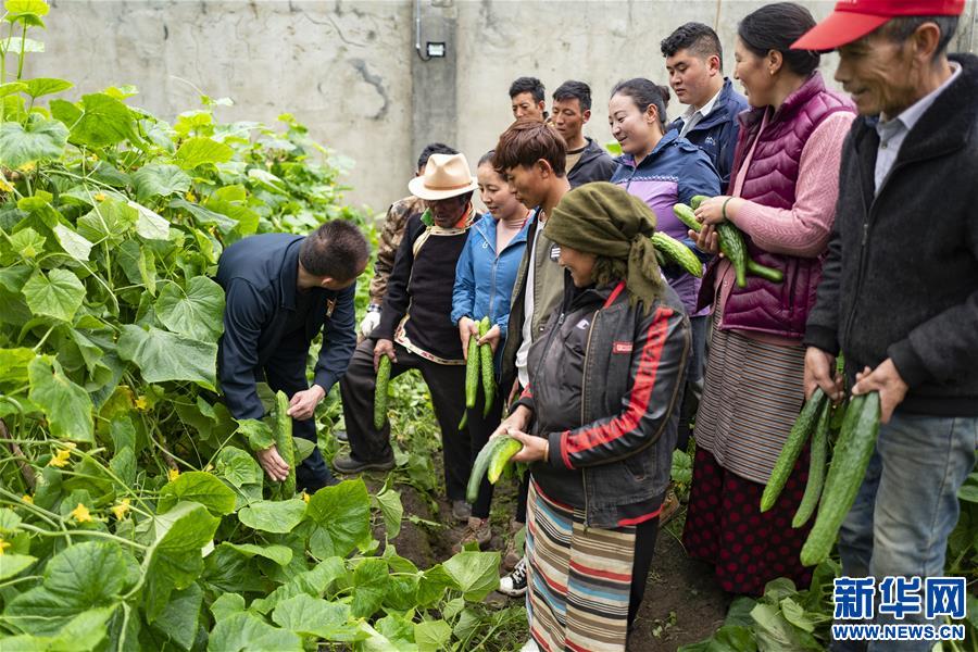 （新華全媒頭條·走向我們的小康生活·圖文互動）（9）扎西德勒，我們的新家園——西藏易地扶貧搬遷搬出幸福美好新生活