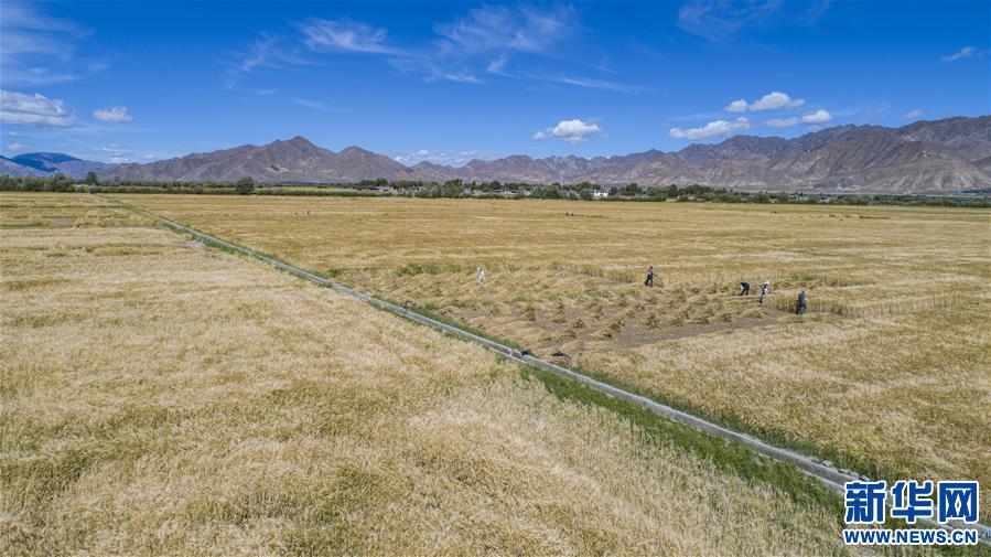 （新華全媒頭條·走向我們的小康生活·圖文互動）（11）扎西德勒，我們的新家園——西藏易地扶貧搬遷搬出幸福美好新生活