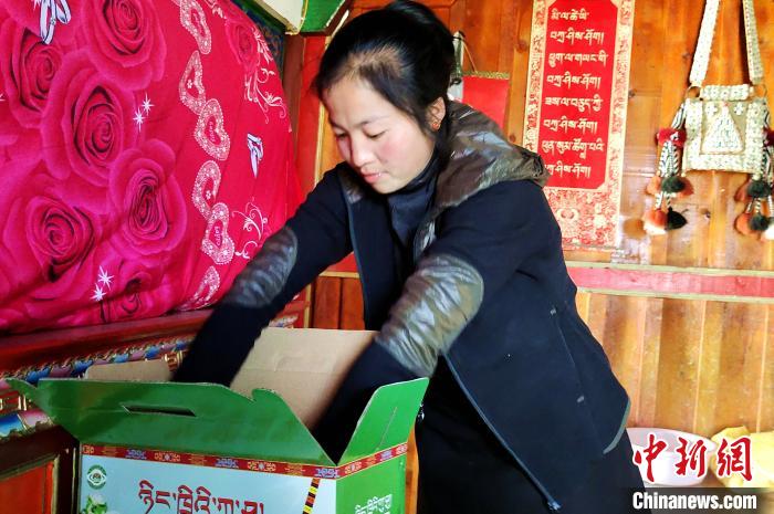 圖為通麥村村民巴桑拉姆把精心挑選的蘋果裝箱?！∝暽＠?攝