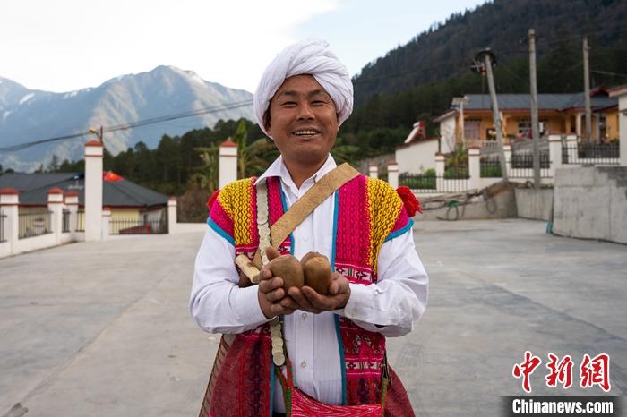 1月29日，京都村委會(huì)主任阿胖正在展示該村種植的獼猴桃。<a target='_blank' ><p  align=