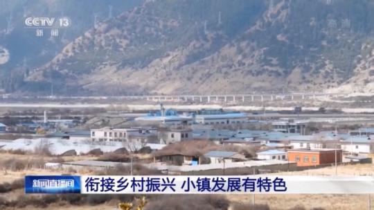 種蘑菇、養(yǎng)駱駝...。。特色產(chǎn)業(yè)助力鄉(xiāng)村振興走新路