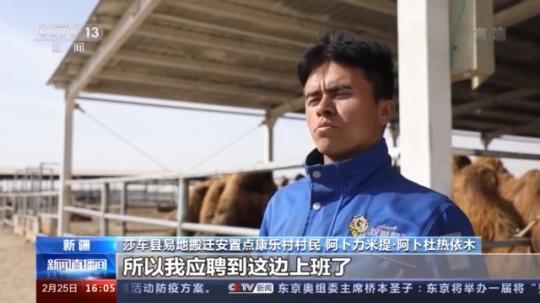 種蘑菇、養(yǎng)駱駝...。。特色產(chǎn)業(yè)助力鄉(xiāng)村振興走新路