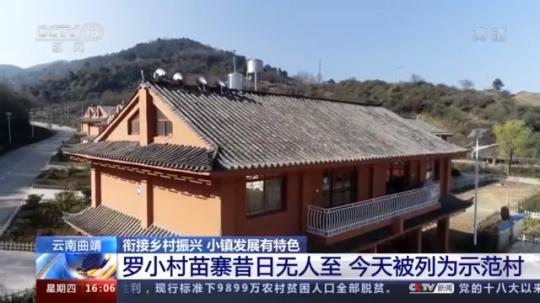 種蘑菇、養(yǎng)駱駝...。。特色產(chǎn)業(yè)助力鄉(xiāng)村振興走新路