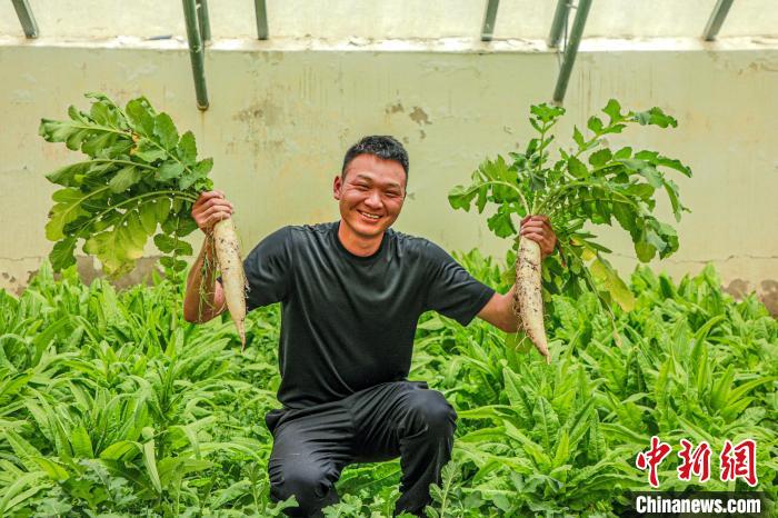 西藏阿里門士邊境派出所民警兼職大棚種植、豐富牧民餐桌