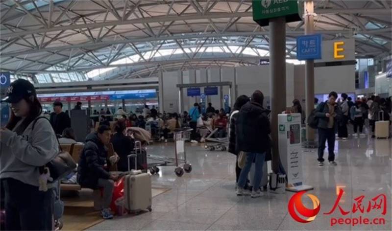 11月29日，繁忙的仁川機場。人民網(wǎng) 李帆攝