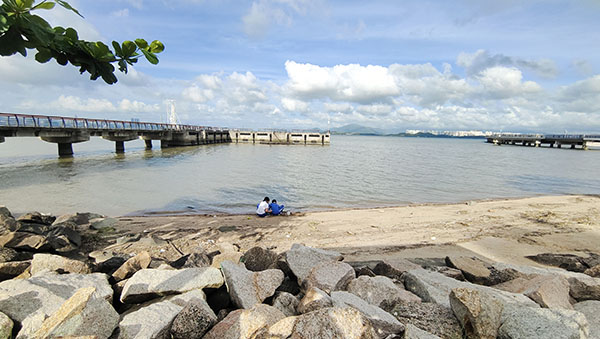 深圳紅樹林灘涂，留給了孩子們親近自然的空間。人民網(wǎng)記者 李彤攝