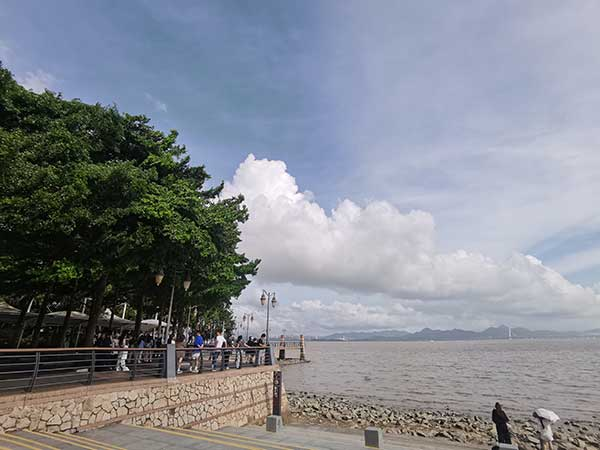 紅樹林灘涂沿線一角。人民網(wǎng)記者 張素玲攝