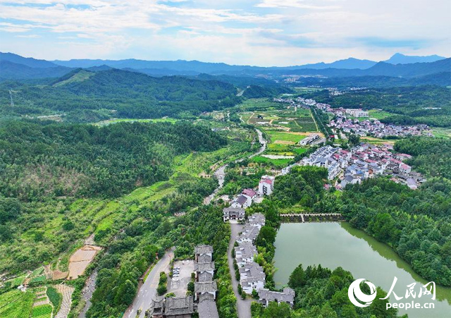 資溪縣森林資源豐富，森林覆蓋率達87.7%，有林地資源168萬畝。人民網(wǎng) 朱海鵬攝