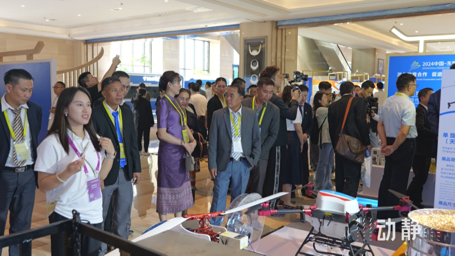 展示成果分享經(jīng)驗，中國—東盟教育交流周深化合作共創(chuàng)未來！