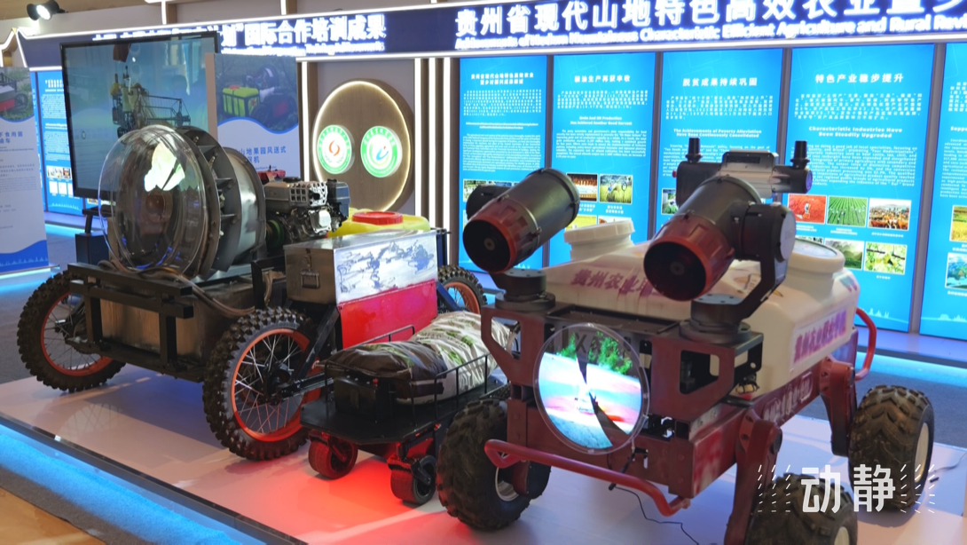 展示成果分享經(jīng)驗，中國—東盟教育交流周深化合作共創(chuàng)未來！