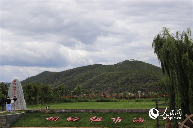 麗江市拉市海景區(qū)。 人民網(wǎng)記者 程浩攝