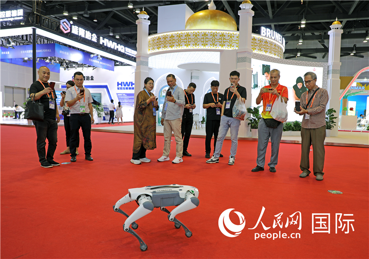 東博會上，觀眾正在參觀一只機器狗。綠色能源、新能源汽車、綠色農(nóng)產(chǎn)品等成為本屆東博會觀眾關(guān)注的焦點。人民網(wǎng)記者 趙益普攝