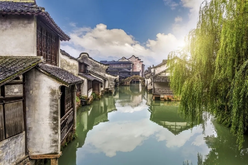 烏鎮(zhèn)動觀察｜這個字，牽起國際交流互鑒之紐帶