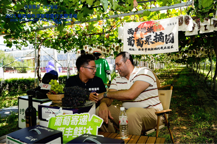 智慧“種”進(jìn)葡萄園 駐華外交官品讀鄉(xiāng)村振興“中國甜”_fororder_圖片5