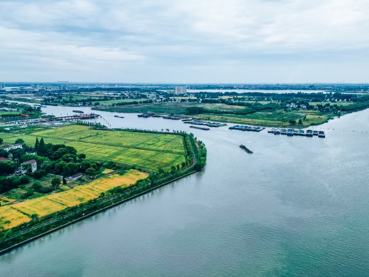 太浦河沿岸好風(fēng)光。吳橫軒攝