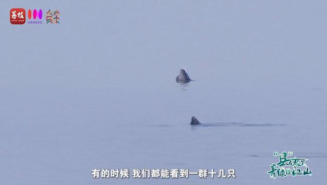 “縣”在起筆 青綠繪江山 | 江灣沐曉：褪去“銹色”走“金線”，繡出生態(tài)與產(chǎn)業(yè)“雙面錦”