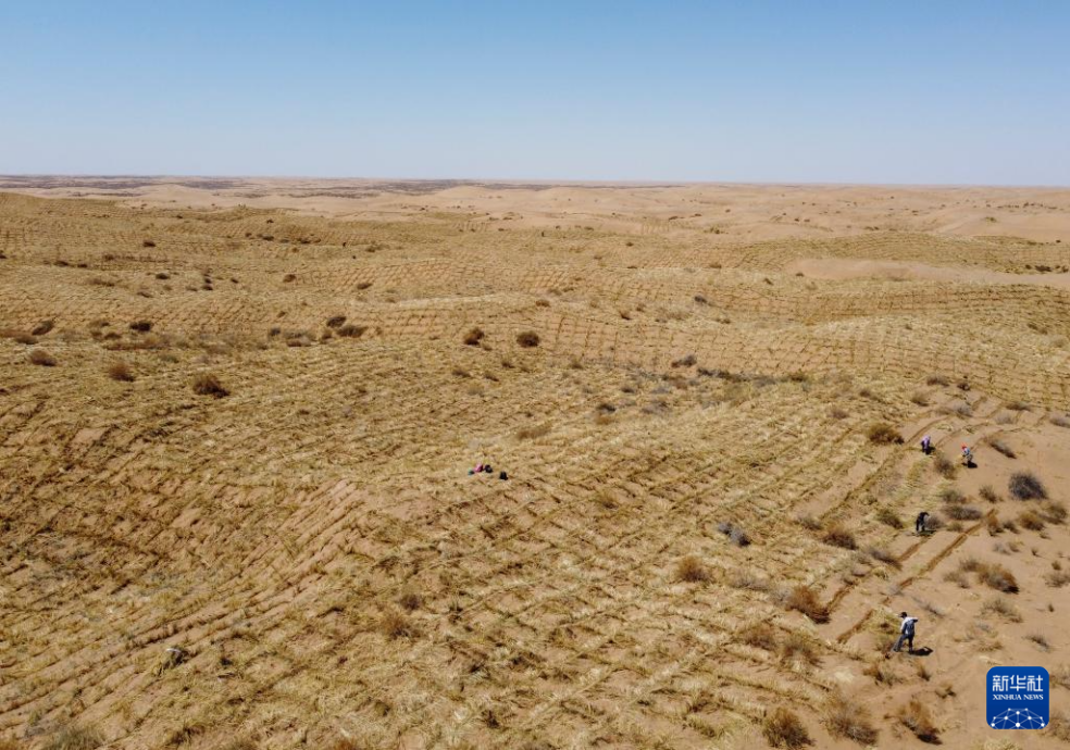 2024年4月10日，群眾在古浪縣八步沙林場麻黃塘沙區(qū)用草方格壓沙。新華社發(fā)（無人機(jī)照片）