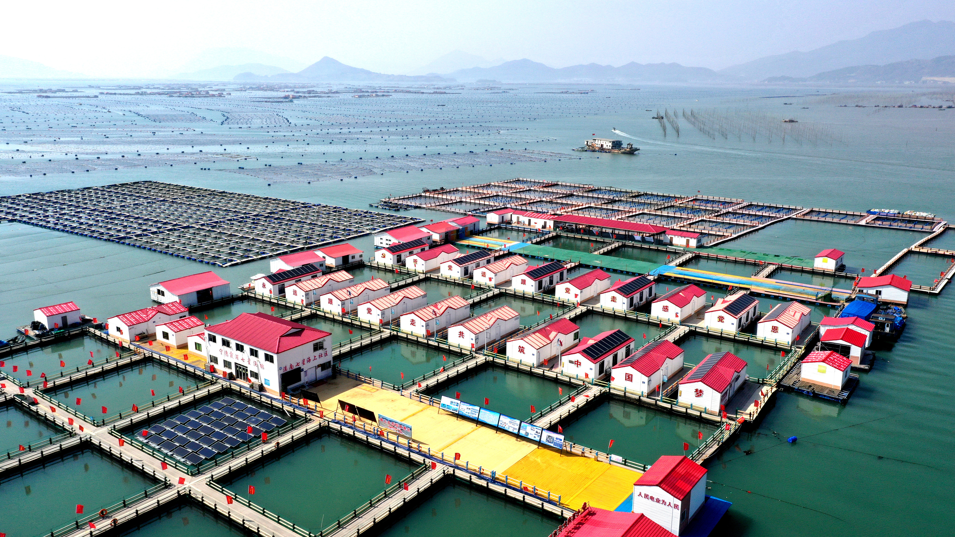 2024年3月20日，福建省寧德市，霞浦縣溪南鎮(zhèn)七星村漁排養(yǎng)殖示范區(qū)，漁民駕駛養(yǎng)殖船進(jìn)行海參養(yǎng)殖作業(yè)。