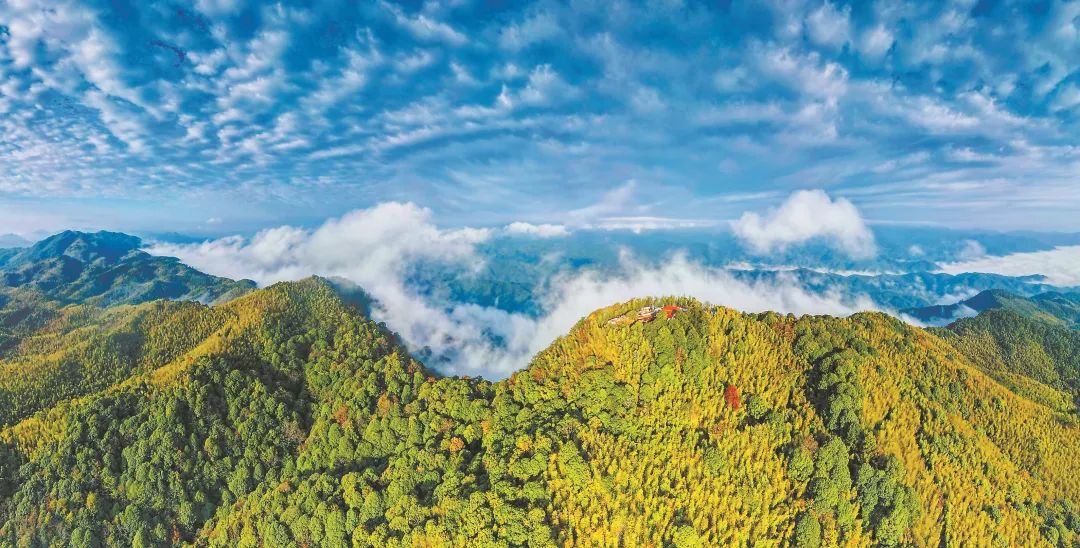 　三明森林生態(tài)環(huán)境優(yōu)美。