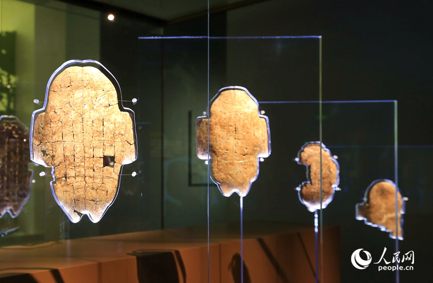 殷墟博物館展出的甲骨文。人民網(wǎng)記者 慎志遠(yuǎn) 攝