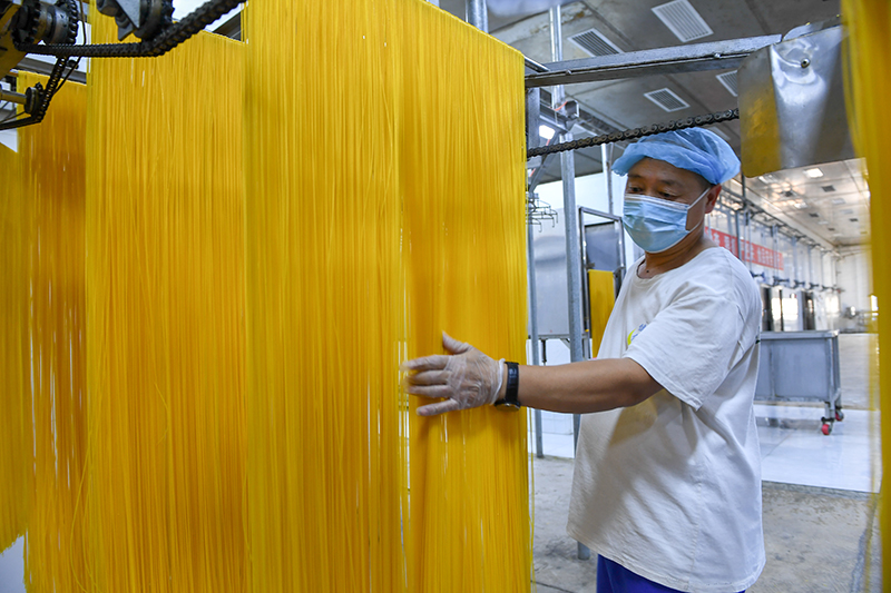 2024年1月25日，在吉林省公主嶺市的一家公司車間，工人查看玉米面條生產(chǎn)情況。
