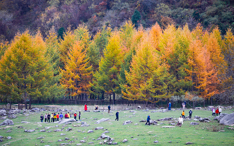 2023年10月27日，深秋時節(jié)的陜西秦嶺太子嶺漫山紅黃、色彩交織，進入最佳觀賞期。