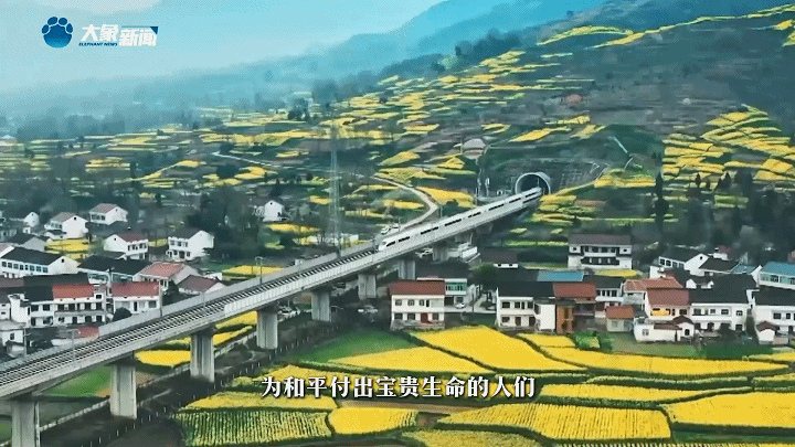 家國(guó)永念 | 看，山河已無(wú)恙