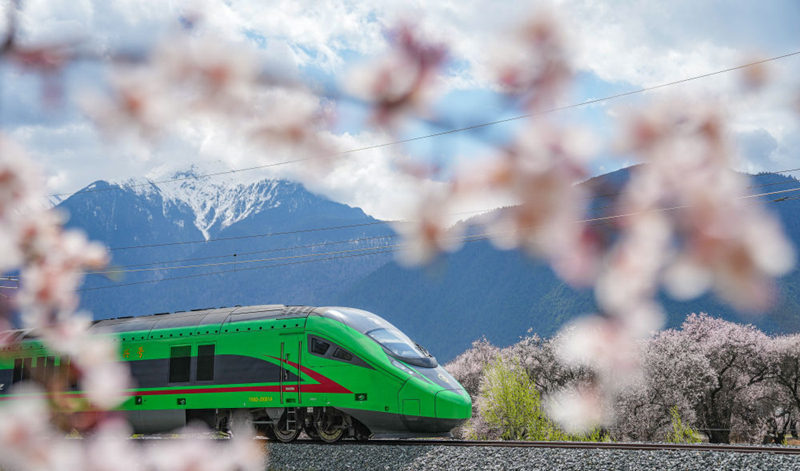 2025年4月2日，復(fù)興號(hào)列車穿行在拉林鐵路林芝段。