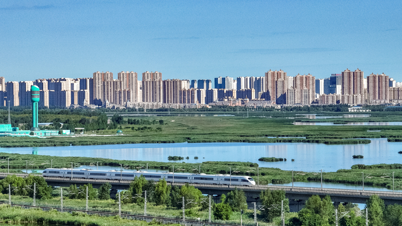 2025年8月17日，一列動車組列車駛過大慶東站。