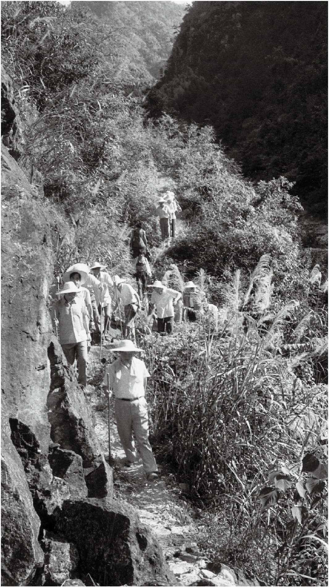 1989年7月，習(xí)近平一行到壽寧縣下黨鄉(xiāng)調(diào)研。