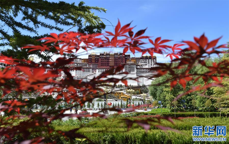 (社會)(3)布達(dá)拉宮恢復(fù)對外開放