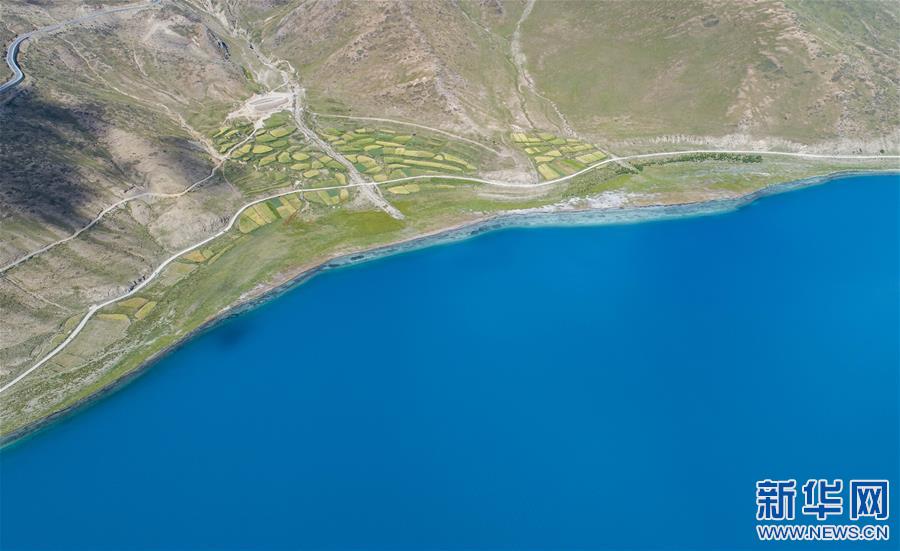 (新華視界)(2)“醉”美羊湖