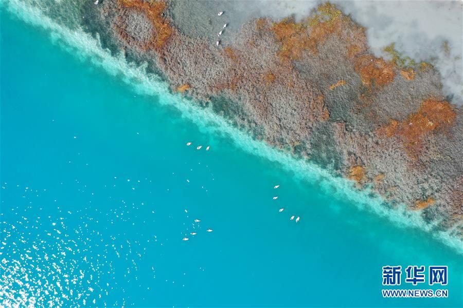 (新華視界)(1)鳥(niǎo)瞰羊湖