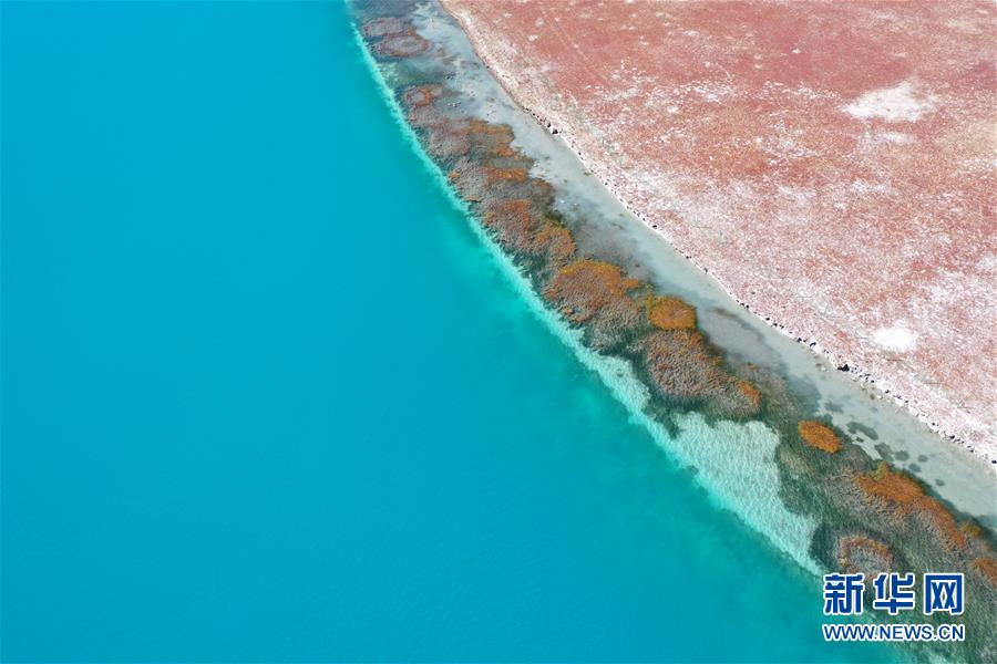 (新華視界)(7)鳥(niǎo)瞰羊湖