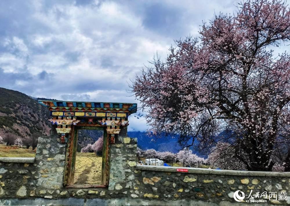 桃花下的藏式民居。人民網(wǎng) 李海霞攝