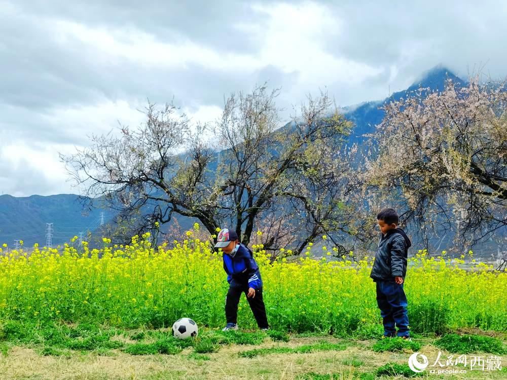 孩童在桃花下嬉戲。人民網(wǎng) 李海霞攝